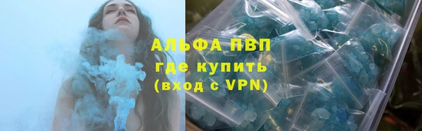 гашик Арсеньев