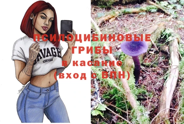 гашик Арсеньев