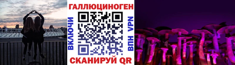 Псилоцибиновые грибы GOLDEN TEACHER Татарск
